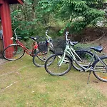 Summer With Sea View In Southern Norway